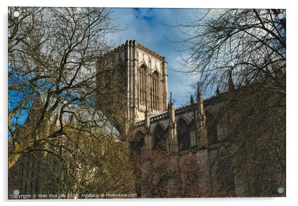 Majestic medieval cathedral with Gothic architecture, towering amidst leafless trees under a blue sky with fluffy clouds, ideal for historical or travel themes in York, North Yorkshire, England. Acrylic by Man And Life