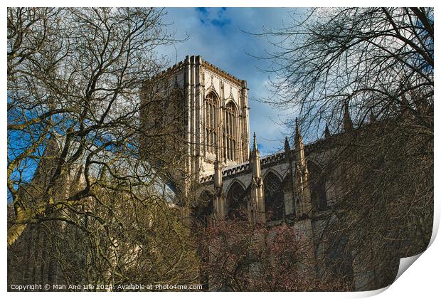 Majestic medieval cathedral with Gothic architecture, towering amidst leafless trees under a blue sky with fluffy clouds, ideal for historical or travel themes in York, North Yorkshire, England. Print by Man And Life