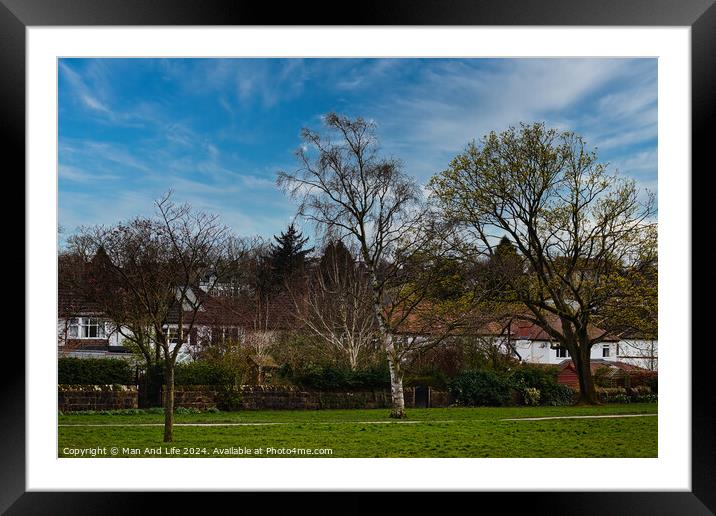 Tranquil suburban landscape with lush green grass, diverse trees in early bloom, and a clear blue sky, showcasing a serene residential neighborhood in Harrogate, North Yorkshire. Framed Mounted Print by Man And Life
