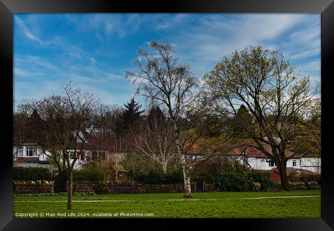 Tranquil suburban landscape with lush green grass, diverse trees in early bloom, and a clear blue sky, showcasing a serene residential neighborhood in Harrogate, North Yorkshire. Framed Print by Man And Life