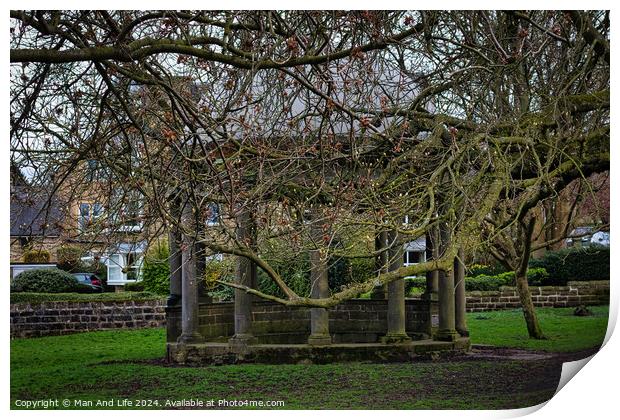 Tranquil park scene with bare-branched trees in early spring, showcasing a rustic stone bench beneath, on a carpet of green grass, with residential buildings in the background in Harrogate, North Yorkshire. Print by Man And Life