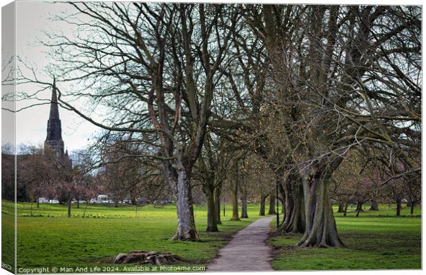 Serene park pathway lined with bare trees leading towards a distant church spire, with lush green grass and a tranquil atmosphere, suitable for themes of nature, peace, and solitude in Harrogate, North Yorkshire. Canvas Print by Man And Life