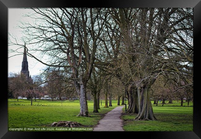 Serene park pathway lined with bare trees leading towards a distant church spire, with lush green grass and a tranquil atmosphere, suitable for themes of nature, peace, and solitude in Harrogate, North Yorkshire. Framed Print by Man And Life
