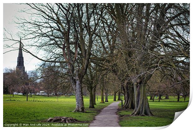 Serene park pathway lined with bare trees leading towards a distant church spire, with lush green grass and a tranquil atmosphere, suitable for themes of nature, peace, and solitude in Harrogate, North Yorkshire. Print by Man And Life