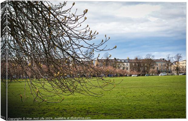 Early spring scenery with budding branches in the foreground and a lush green park leading to a row of urban buildings under a dynamic cloudy sky in Harrogate, North Yorkshire. Canvas Print by Man And Life