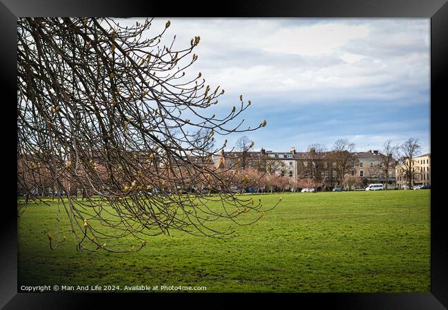 Early spring scenery with budding branches in the foreground and a lush green park leading to a row of urban buildings under a dynamic cloudy sky in Harrogate, North Yorkshire. Framed Print by Man And Life