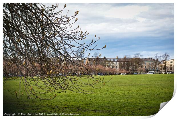 Early spring scenery with budding branches in the foreground and a lush green park leading to a row of urban buildings under a dynamic cloudy sky in Harrogate, North Yorkshire. Print by Man And Life