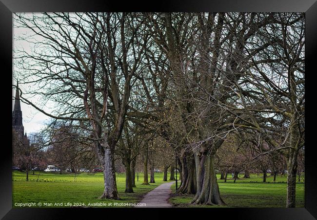 Serene park pathway lined with bare trees in early spring, with lush green grass on either side, hinting at the onset of new growth and natural beauty in Harrogate, North Yorkshire. Framed Print by Man And Life
