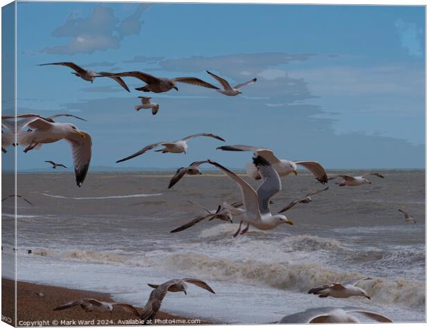Wings and Waves. Canvas Print by Mark Ward