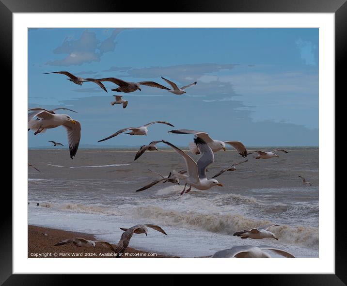 Wings and Waves. Framed Mounted Print by Mark Ward