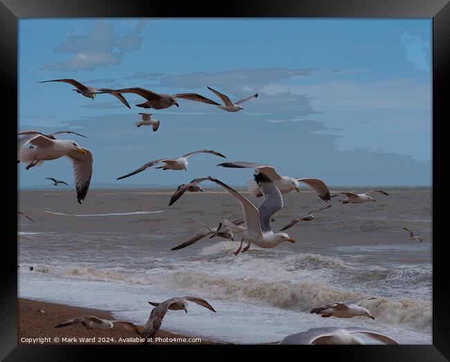 Wings and Waves. Framed Print by Mark Ward