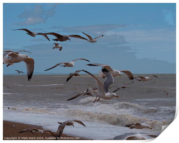 Wings and Waves. Print by Mark Ward