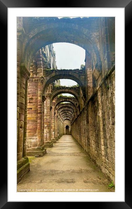 Fountains Abbey Yorkshire Framed Mounted Print by David Bennett
