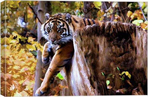 Autumn Tiger Canvas Print by Elaine Manley