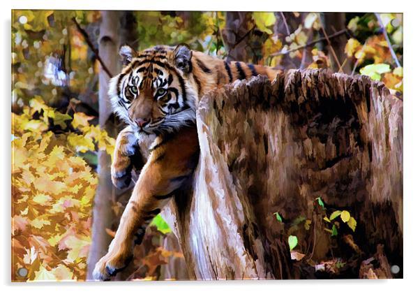 Autumn Tiger Acrylic by Elaine Manley