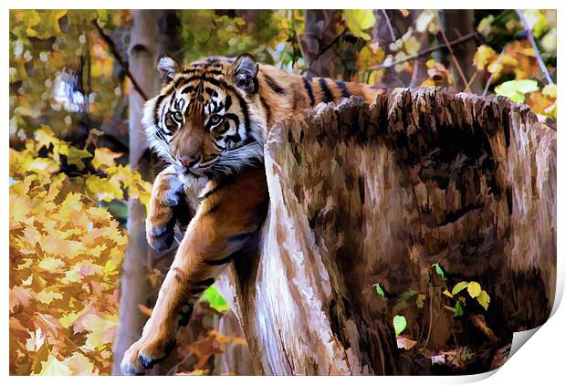 Autumn Tiger Print by Elaine Manley