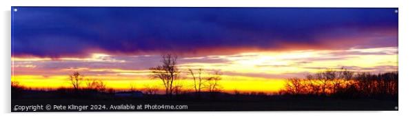 Wide Sunrise yellow purple barren trees Acrylic by Pete Klinger