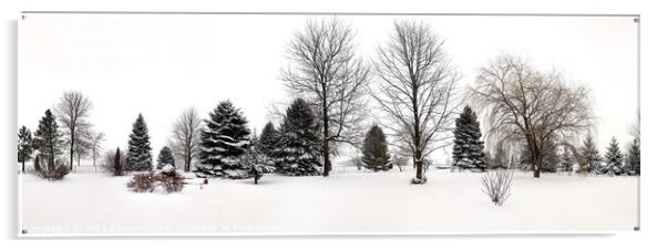 Winter Snow Panorama Acrylic by Pete Klinger
