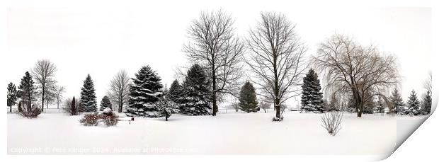 Winter Snow Panorama Print by Pete Klinger