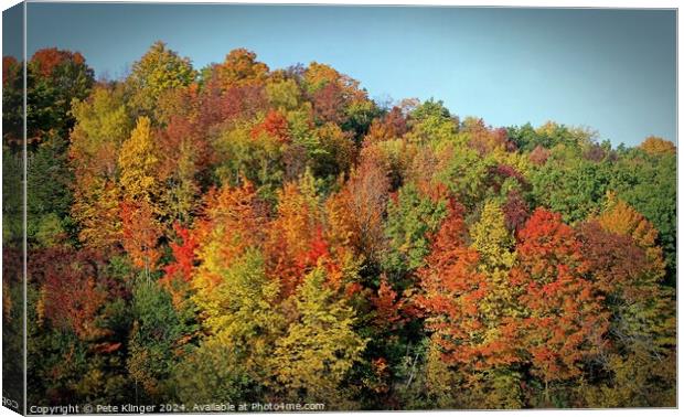 Fall Colors against blue sky Canvas Print by Pete Klinger