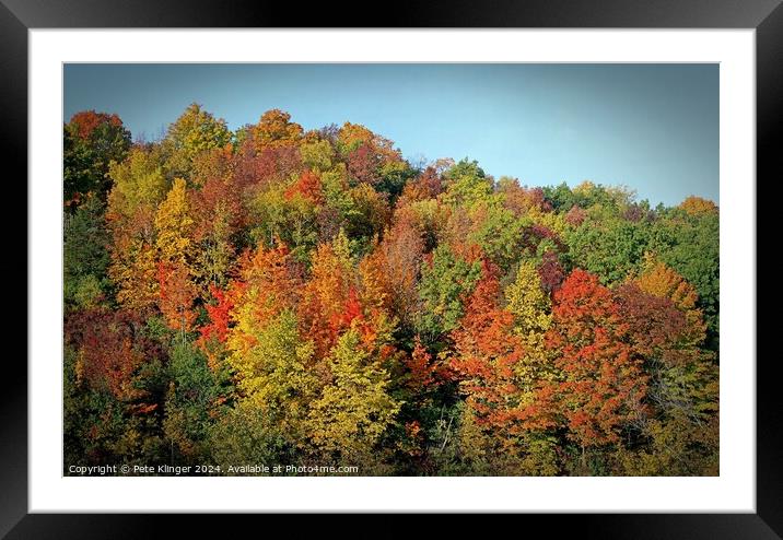 Fall Colors against blue sky Framed Mounted Print by Pete Klinger