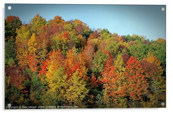 Fall Colors against blue sky Acrylic by Pete Klinger
