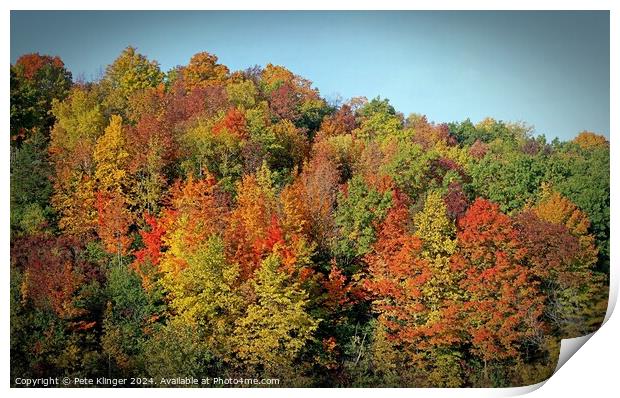 Fall Colors against blue sky Print by Pete Klinger