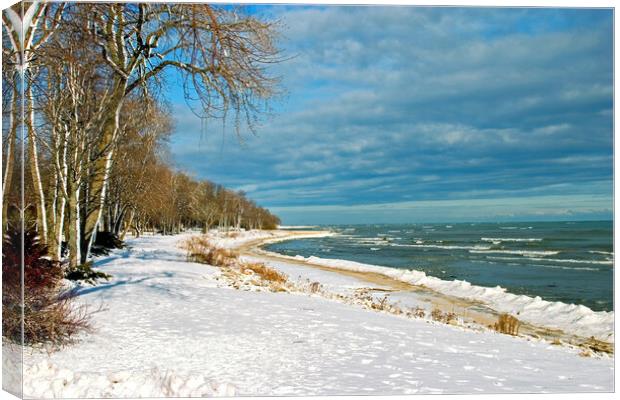 Snow on lake shore in Winter Canvas Print by Pete Klinger
