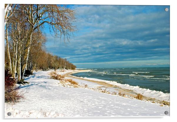 Snow on lake shore in Winter Acrylic by Pete Klinger