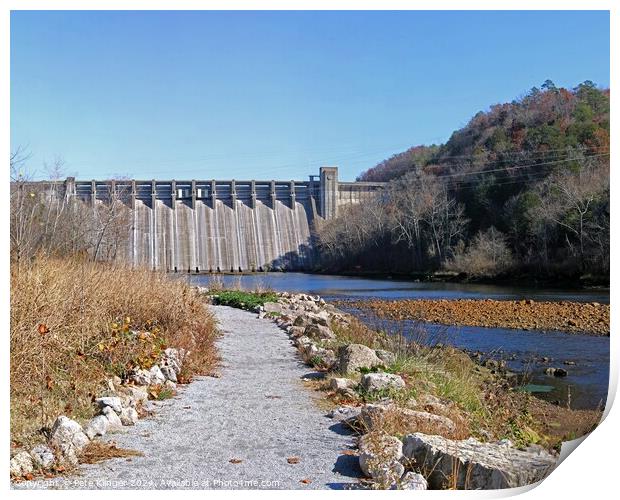 Hydro Electric Dam Rural Power Print by Pete Klinger