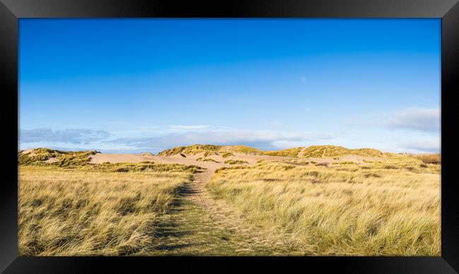 Blue sky above the sand dunes on Formby beach Framed Print by Jason Wells