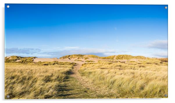 Blue sky above the sand dunes on Formby beach Acrylic by Jason Wells