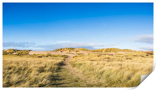 Blue sky above the sand dunes on Formby beach Print by Jason Wells