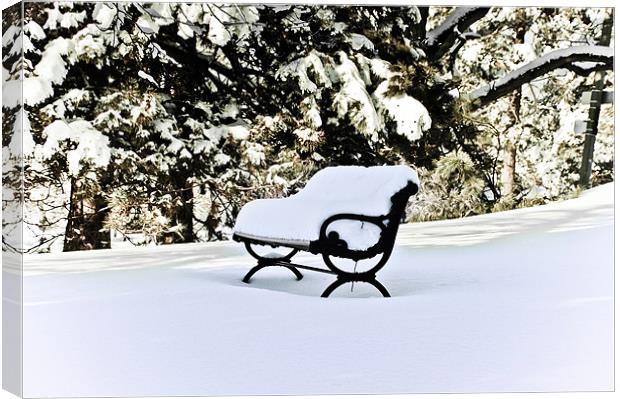 Snow Covered Bench ...misc Canvas Print by Elaine Manley