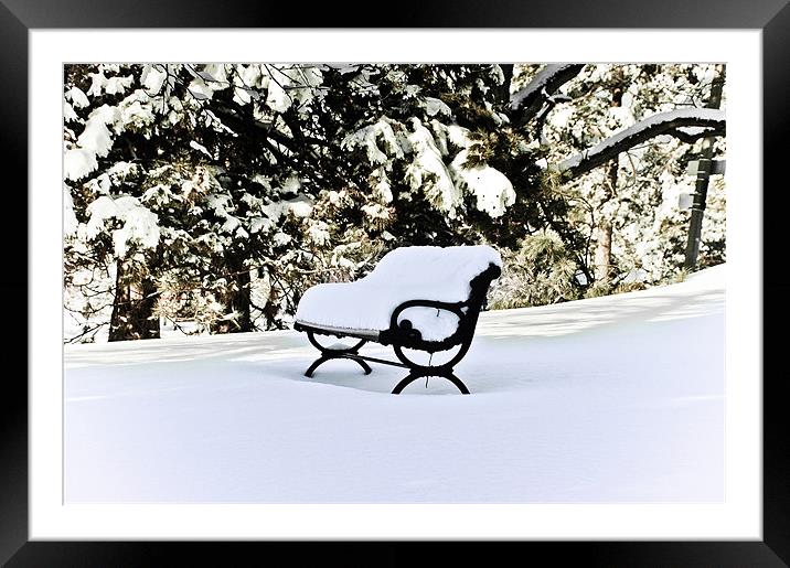 Snow Covered Bench ...misc Framed Mounted Print by Elaine Manley