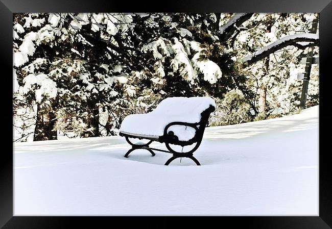 Snow Covered Bench ...misc Framed Print by Elaine Manley