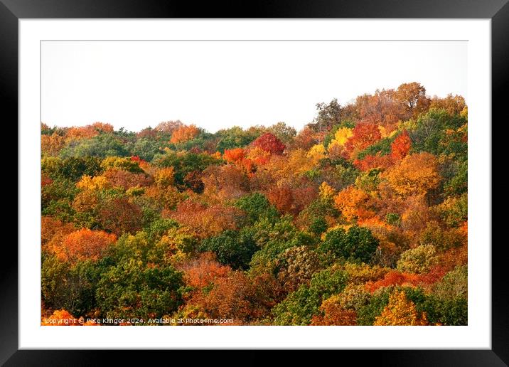 Fall Colors side of a hill Framed Mounted Print by Pete Klinger