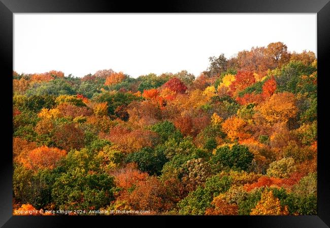 Fall Colors side of a hill Framed Print by Pete Klinger