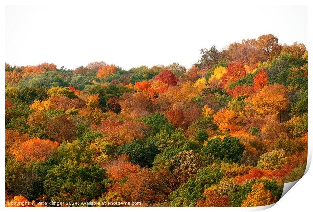 Fall Colors side of a hill Print by Pete Klinger