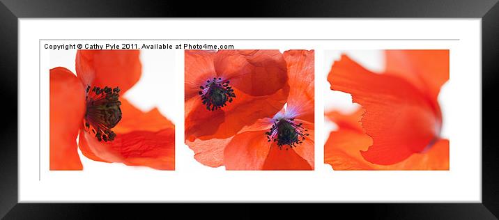 Poppies triptych (white border) Framed Mounted Print by Cathy Pyle