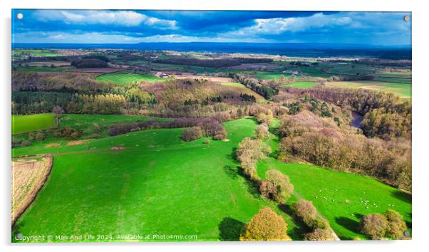 Aerial view of a vibrant rural landscape with lush green fields, patches of forests, and a clear view extending to the horizon under a partly cloudy sky. Acrylic by Man And Life