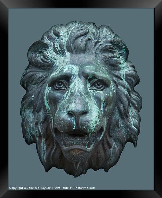 Antique Lion Face, Dublin Framed Print by Jane McIlroy