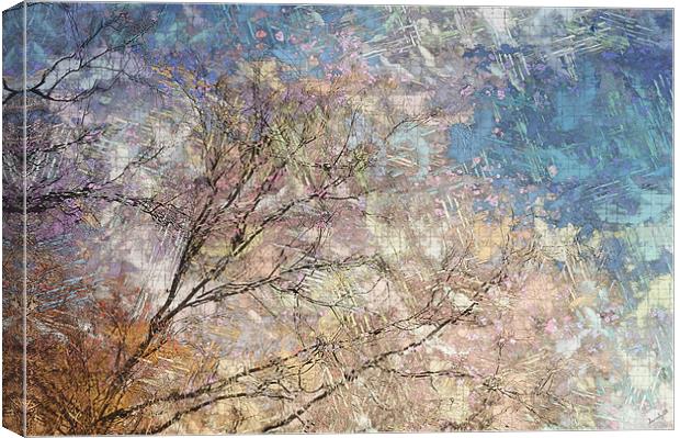 Wind Blown Abstract Canvas Print by Elaine Manley