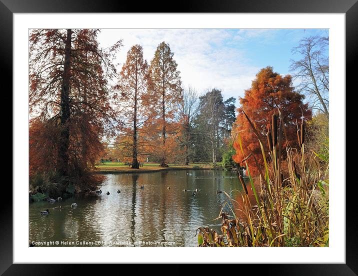 AUTUMN AT WISLEY Framed Mounted Print by Helen Cullens