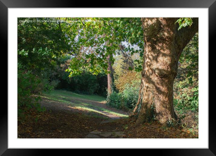 Path In Sunlight  Victoria Park, Bristol, UK Framed Mounted Print by Christine Lake