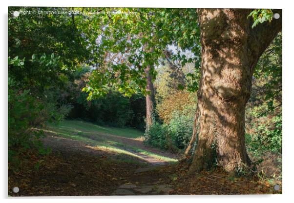 Path In Sunlight  Victoria Park, Bristol, UK Acrylic by Christine Lake