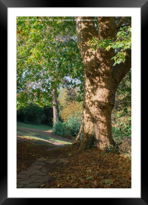 Path In Sunlight 2  Victoria Park, Bristol, UK Framed Mounted Print by Christine Lake