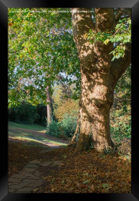 Path In Sunlight 2  Victoria Park, Bristol, UK Framed Print by Christine Lake