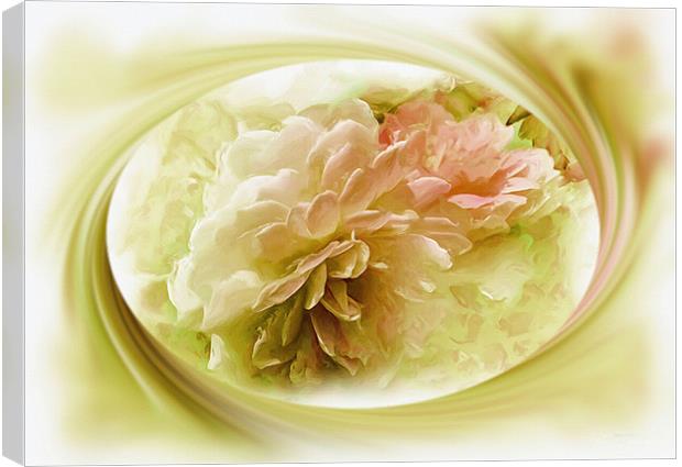 Corel and Pink Peoni Flower Canvas Print by Elaine Manley