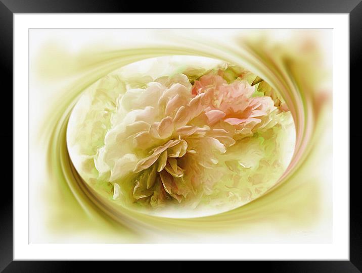 Corel and Pink Peoni Flower Framed Mounted Print by Elaine Manley